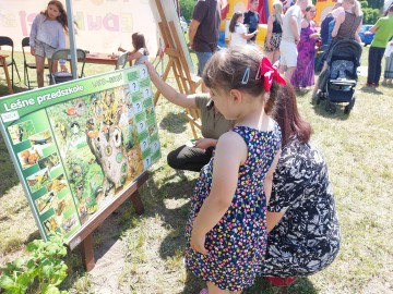 Relacja z Pikniku w Puszczy Mariańskiej „Święto Rodziny” , 